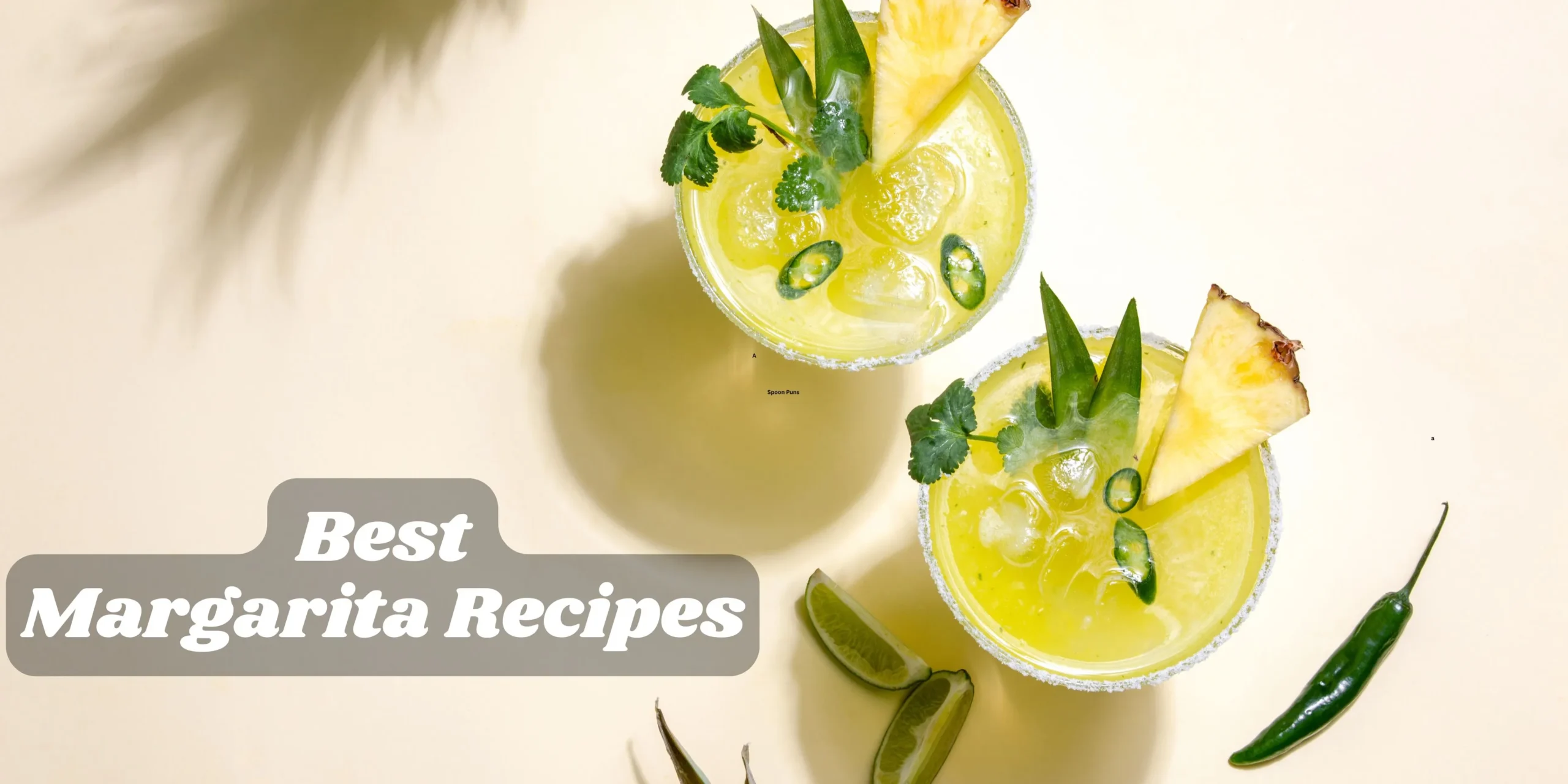 10 Best Margarita Recipes