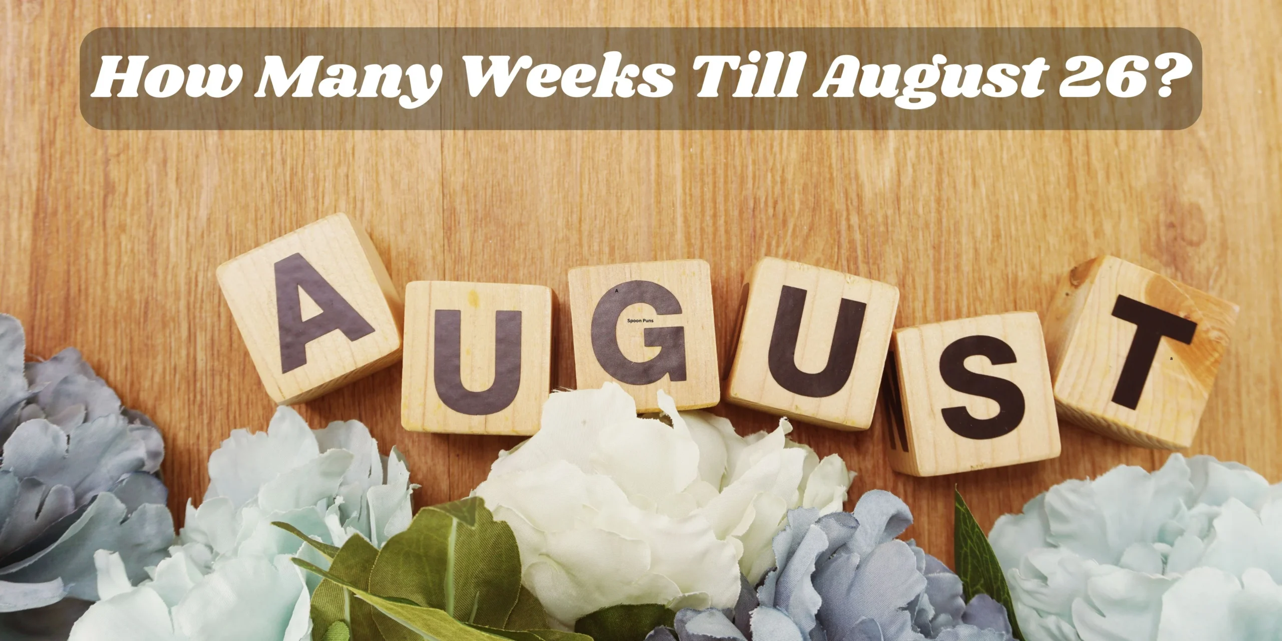 How Many Weeks Till August 26? Easy Countdown Guide