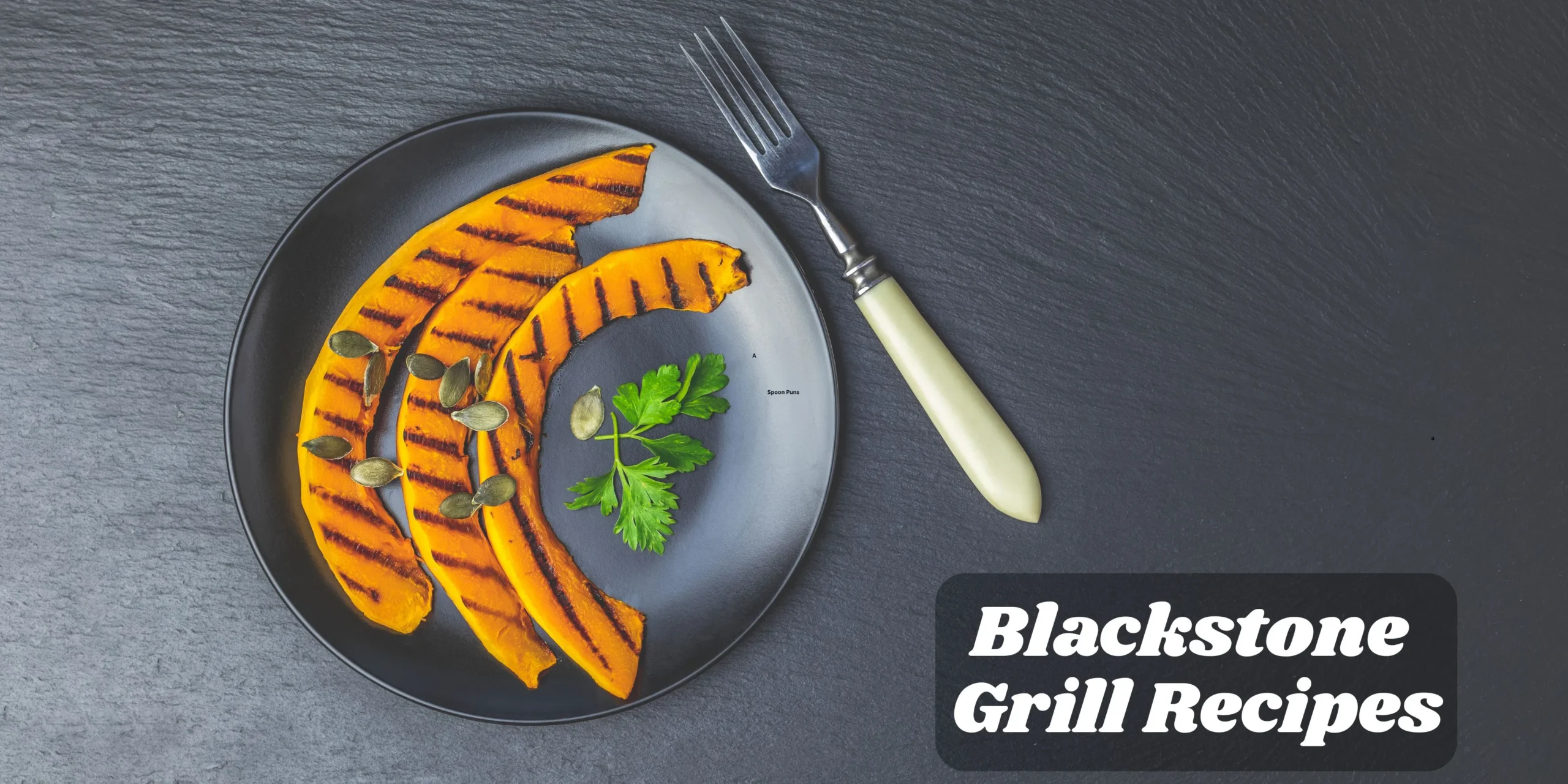 Blackstone Grill Recipes