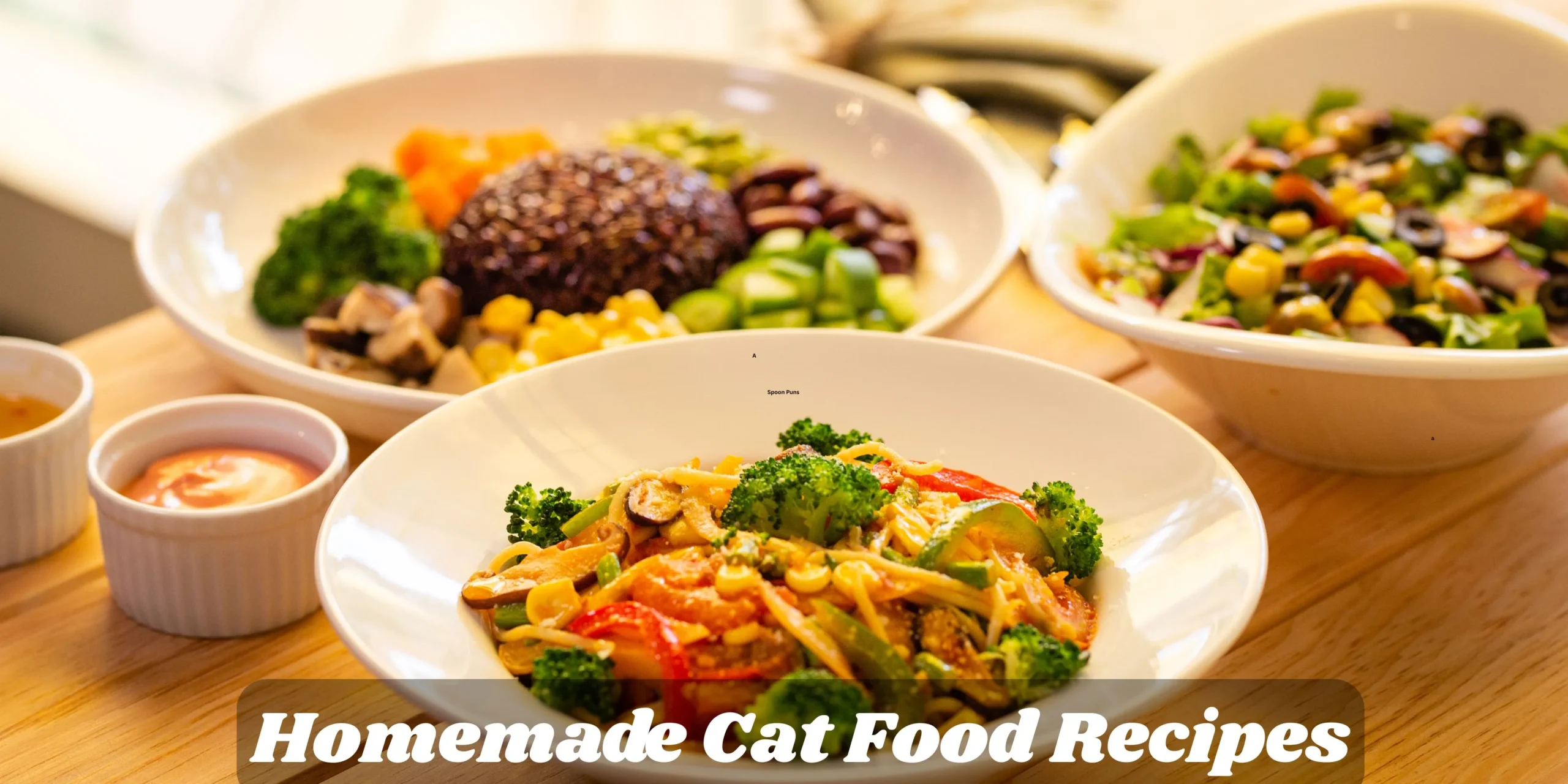Homemade Cat Food Recipes